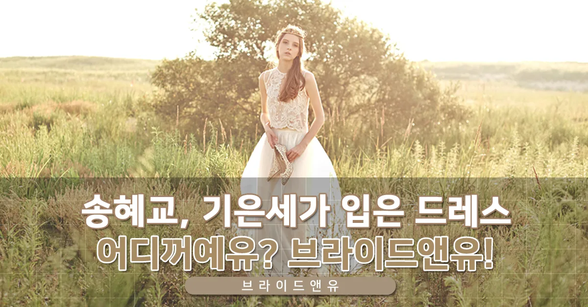 브라이드앤유 웨딩드레스 관련 이미지