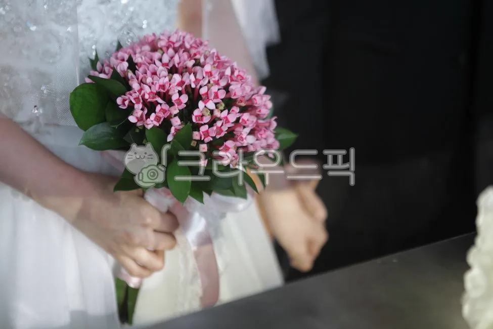 웨딩크라우드 스드메 상담 관련 이미지